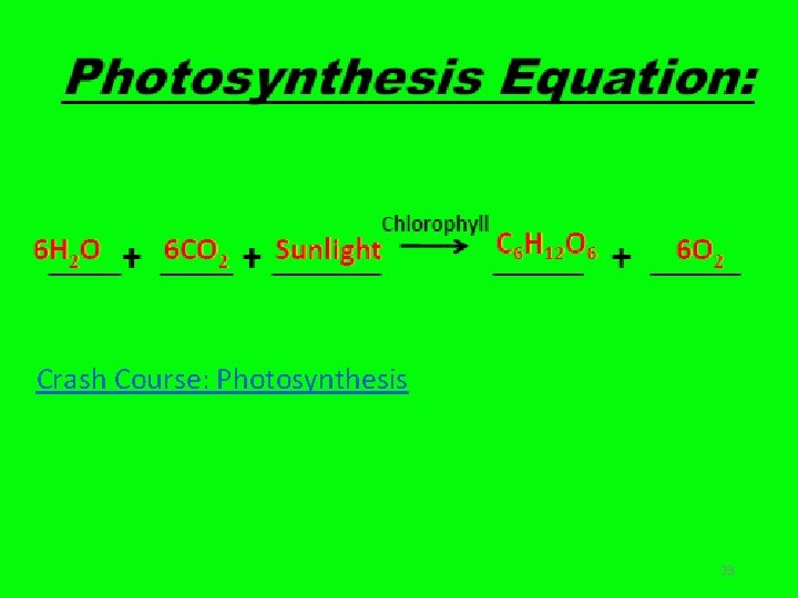 Crash Course: Photosynthesis 23 