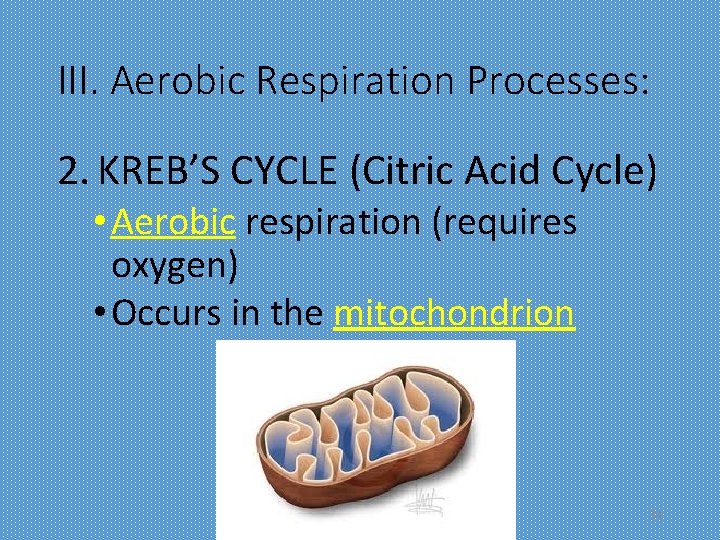 III. Aerobic Respiration Processes: 2. KREB’S CYCLE (Citric Acid Cycle) • Aerobic respiration (requires
