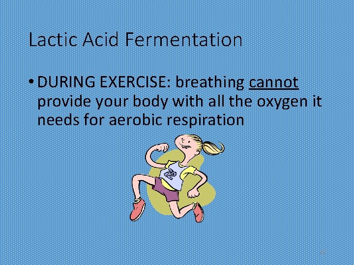 Lactic Acid Fermentation • DURING EXERCISE: breathing cannot provide your body with all the