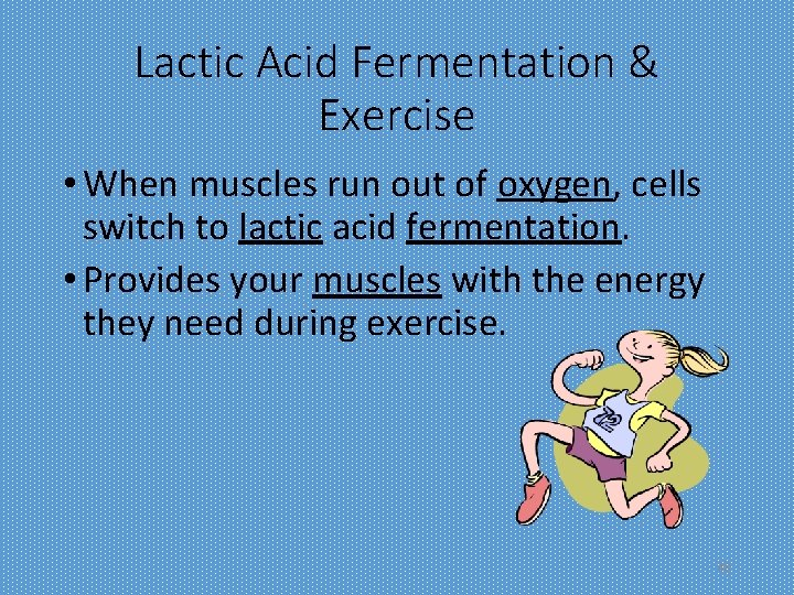 Lactic Acid Fermentation & Exercise • When muscles run out of oxygen, cells switch