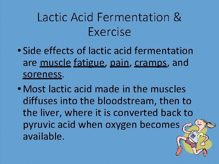 Lactic Acid Fermentation & Exercise • Side effects of lactic acid fermentation are muscle