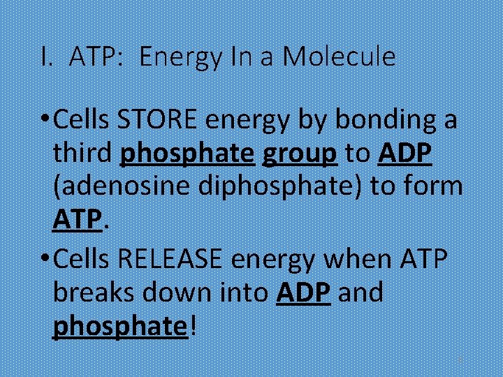 I. ATP: Energy In a Molecule • Cells STORE energy by bonding a third