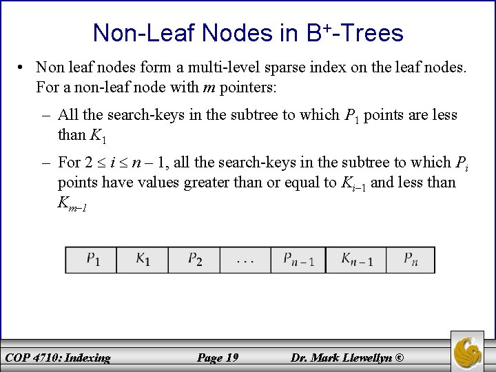 Non-Leaf Nodes in B+-Trees • Non leaf nodes form a multi-level sparse index on