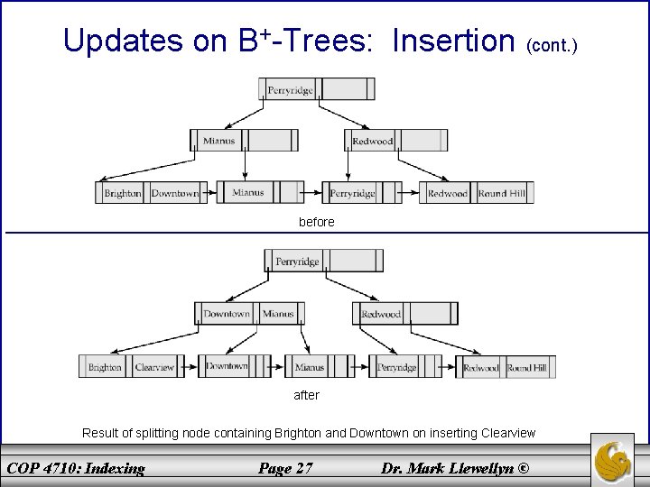 Updates on B+-Trees: Insertion (cont. ) before after Result of splitting node containing Brighton