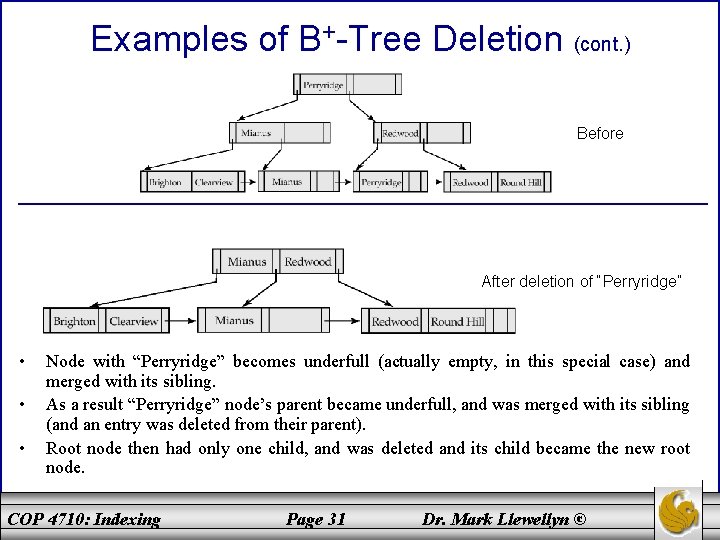 Examples of B+-Tree Deletion (cont. ) Before After deletion of “Perryridge” • • •