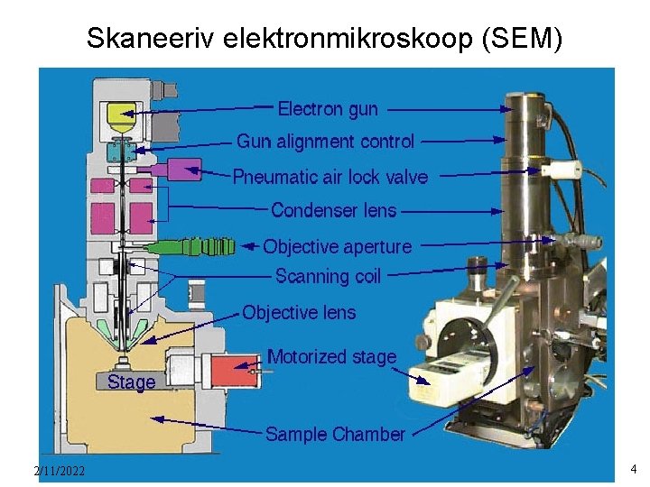 Skaneeriv elektronmikroskoop (SEM) 2/11/2022 4 