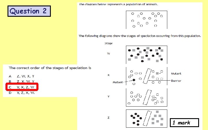 Key area 6 Evolution of Species Key area