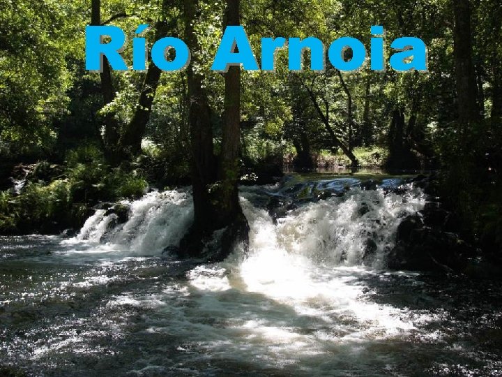 Río Arnoia 