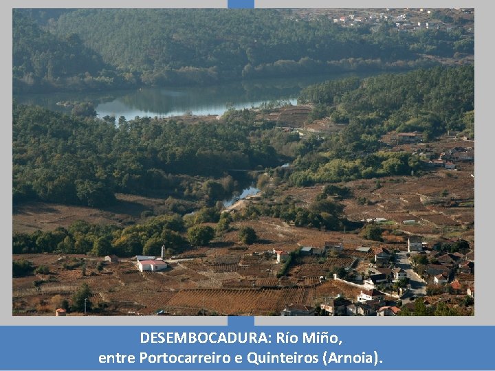 DESEMBOCADURA: Río Miño, entre Portocarreiro e Quinteiros (Arnoia). 