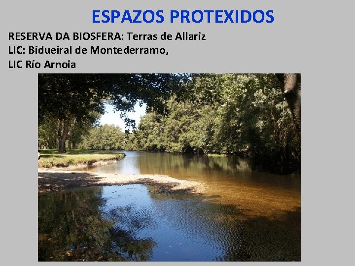 ESPAZOS PROTEXIDOS RESERVA DA BIOSFERA: Terras de Allariz LIC: Bidueiral de Montederramo, LIC Río