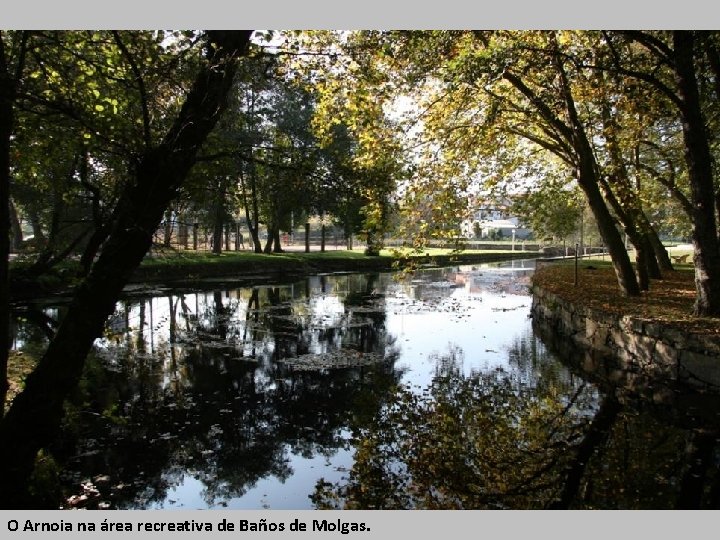 O Arnoia na área recreativa de Baños de Molgas. 