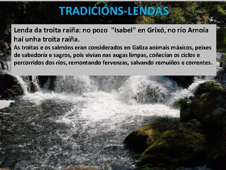 TRADICIÓNS-LENDAS Lenda da troita raíña: no pozo "Isabel" en Grixó, no río Arnoia hai