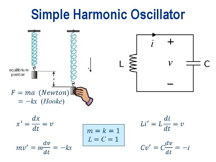 Simple Harmonic Oscillator 