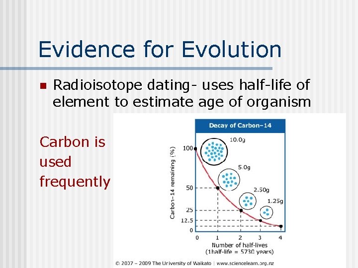 Evidence for Evolution n Radioisotope dating- uses half-life of element to estimate age of