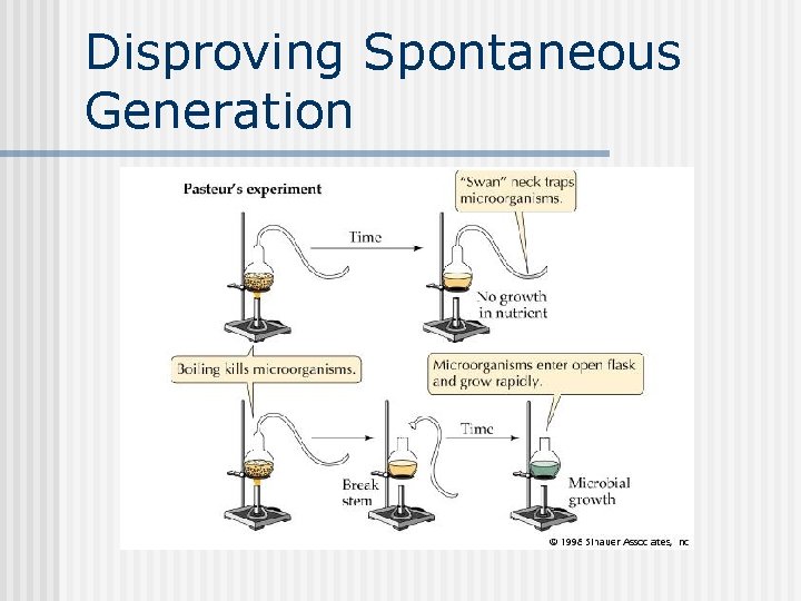 Disproving Spontaneous Generation 