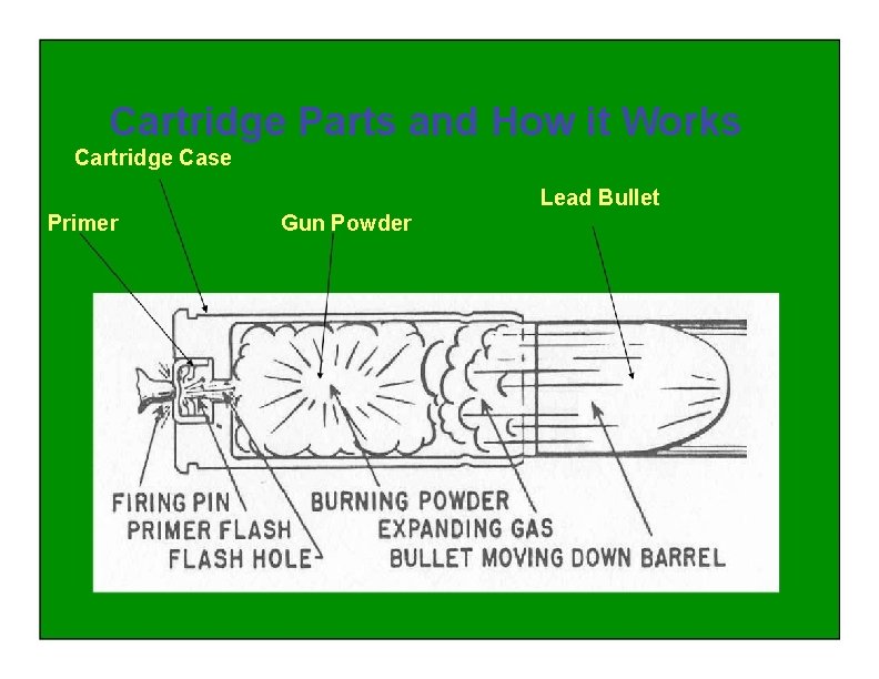 Cartridge Parts and How it Works Cartridge Case Lead Bullet Primer Gun Powder 