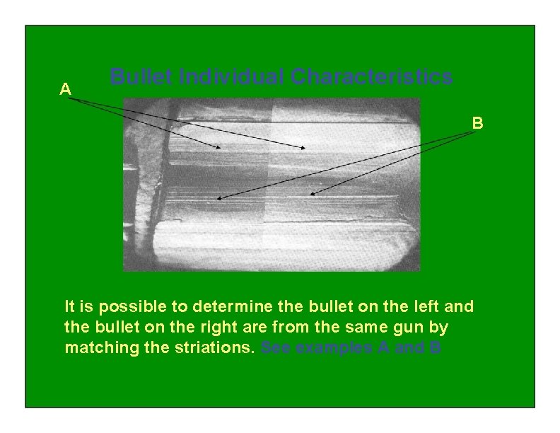 A Bullet Individual Characteristics B It is possible to determine the bullet on the