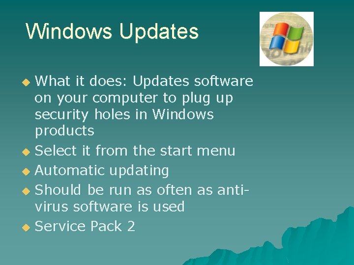 Windows Updates What it does: Updates software on your computer to plug up security Windows Updates What it does: Updates software on your computer to plug up security