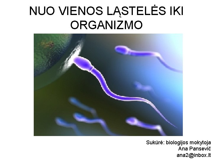 NUO VIENOS LĄSTELĖS IKI ORGANIZMO Sukūrė: biologijos mokytoja Ana Pansevič ana 2@inbox. lt 