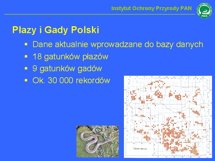 Instytut Ochrony Przyrody PAN Płazy i Gady Polski § § Dane aktualnie wprowadzane do