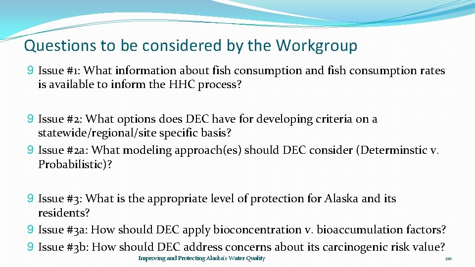 Questions to be considered by the Workgroup 9 Issue #1: What information about fish