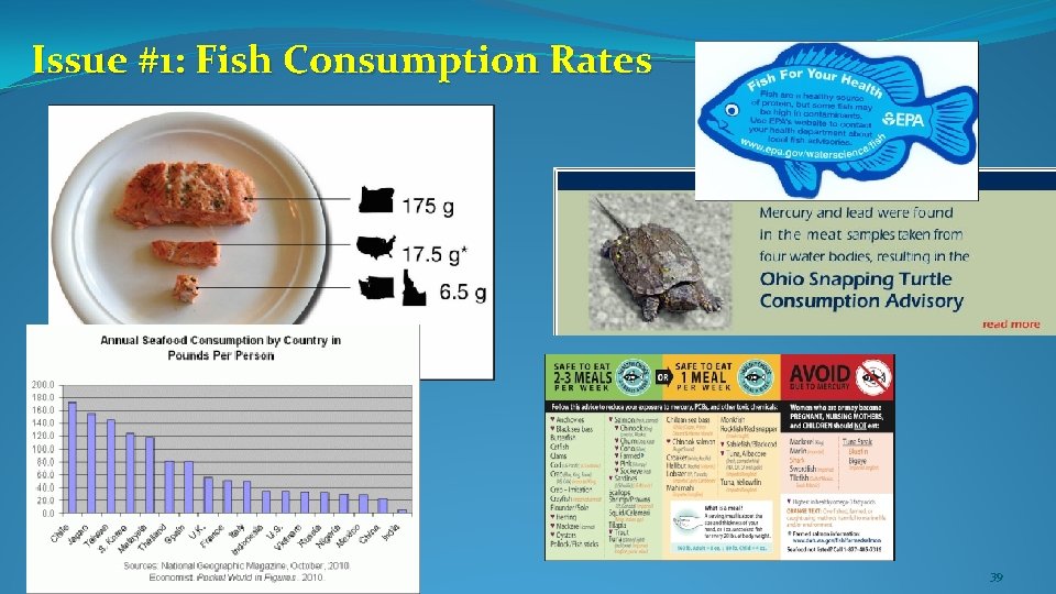Issue #1: Fish Consumption Rates? 39 