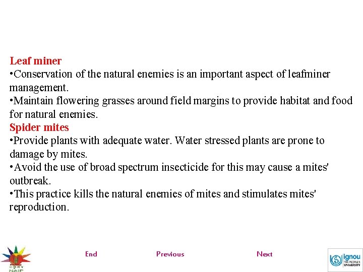 Leaf miner • Conservation of the natural enemies is an important aspect of leafminer