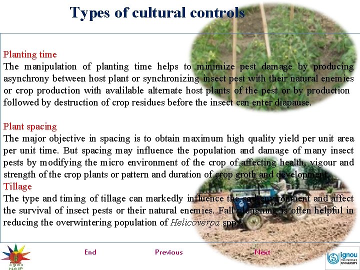 Types of cultural controls Planting time The manipulation of planting time helps to minimize