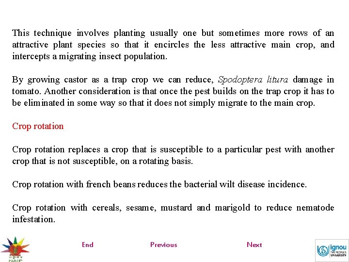 This technique involves planting usually one but sometimes more rows of an attractive plant