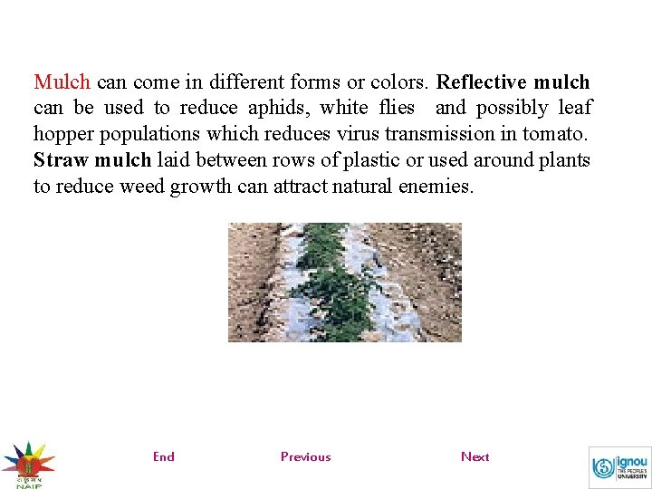 Mulch can come in different forms or colors. Reflective mulch can be used to