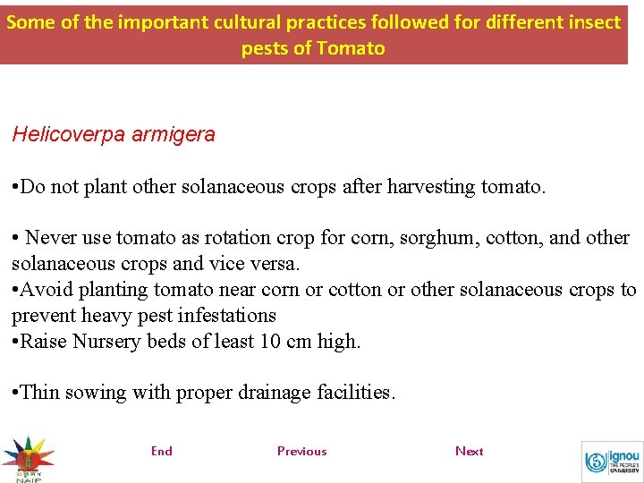 Some of the important cultural practices followed for different insect pests of Tomato Helicoverpa
