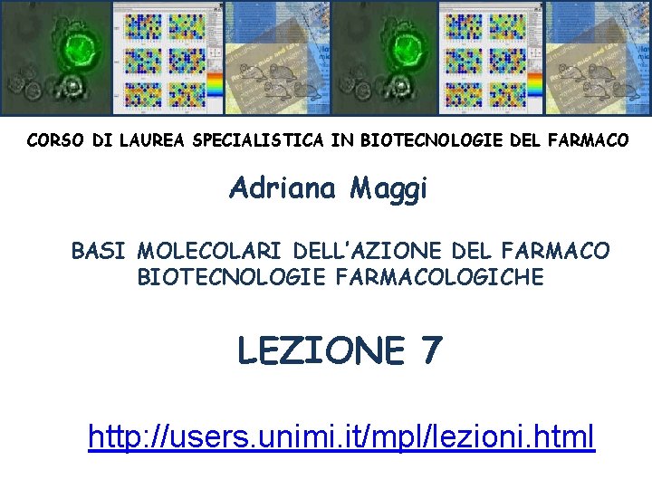 CORSO DI LAUREA SPECIALISTICA IN BIOTECNOLOGIE DEL FARMACO Adriana Maggi BASI MOLECOLARI DELL’AZIONE DEL