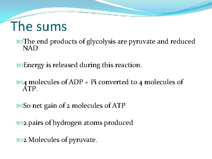 The sums The end products of glycolysis are pyruvate and reduced NAD Energy is