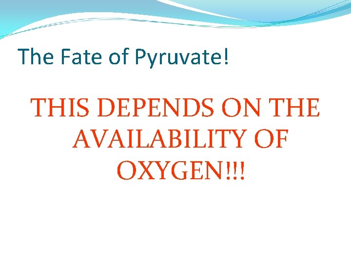The Fate of Pyruvate! THIS DEPENDS ON THE AVAILABILITY OF OXYGEN!!! 