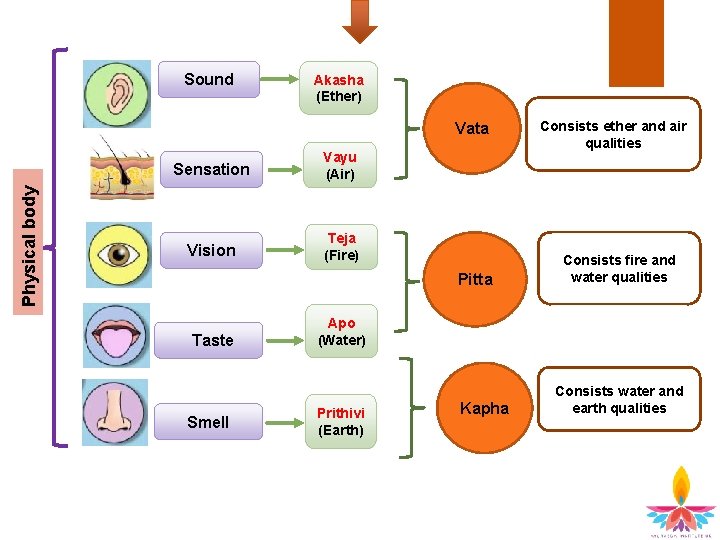 Sound Akasha (Ether) Physical body Vata Sensation Vayu (Air) Vision Teja (Fire) Pitta Taste