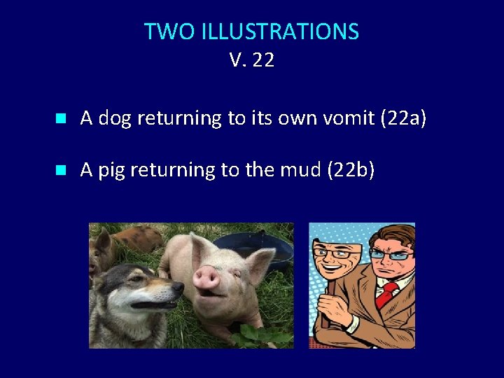 TWO ILLUSTRATIONS V. 22 n A dog returning to its own vomit (22 a)