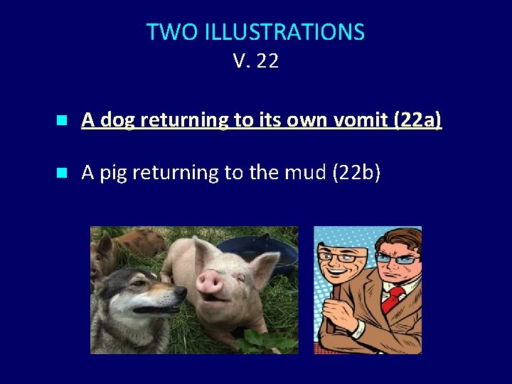 TWO ILLUSTRATIONS V. 22 n A dog returning to its own vomit (22 a)