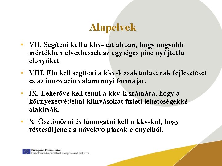 Alapelvek • VII. Segíteni kell a kkv-kat abban, hogy nagyobb mértékben élvezhessék az egységes