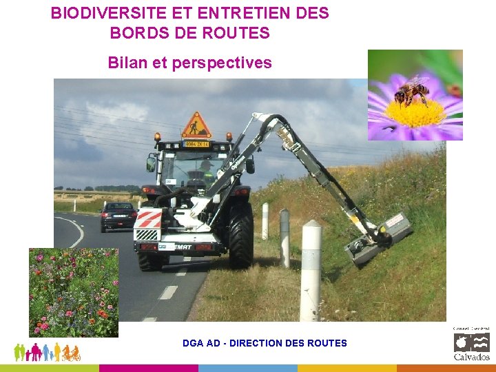 BIODIVERSITE ET ENTRETIEN DES BORDS DE ROUTES Bilan et perspectives DGA AD - DIRECTION