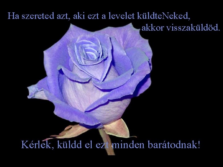 Ha szereted azt, aki ezt a levelet küldte. Neked, akkor visszaküldöd. Kérlek, küldd el