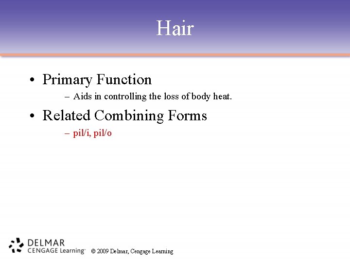 Hair • Primary Function – Aids in controlling the loss of body heat. •