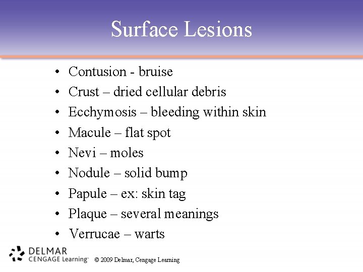 Surface Lesions • • • Contusion - bruise Crust – dried cellular debris Ecchymosis
