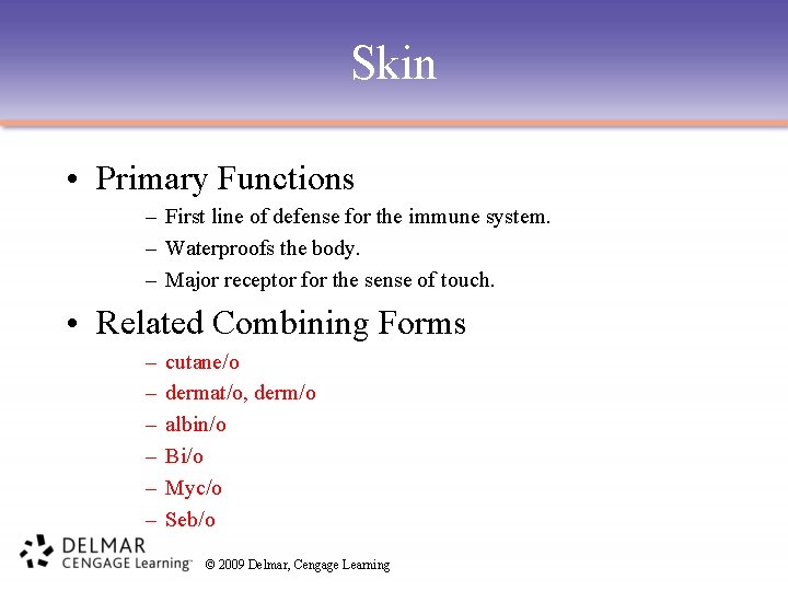 Skin • Primary Functions – First line of defense for the immune system. –