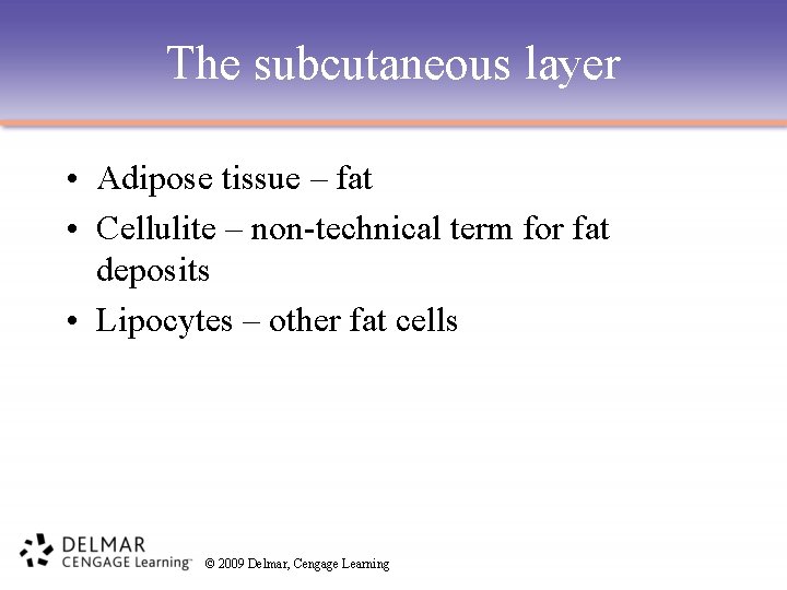 The subcutaneous layer • Adipose tissue – fat • Cellulite – non-technical term for