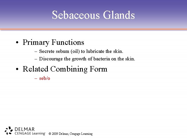 Sebaceous Glands • Primary Functions – Secrete sebum (oil) to lubricate the skin. –