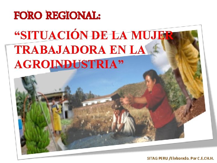 FORO REGIONAL: “SITUACIÓN DE LA MUJER TRABAJADORA EN LA AGROINDUSTRIA” SITAG PERU /Elaborado. Por