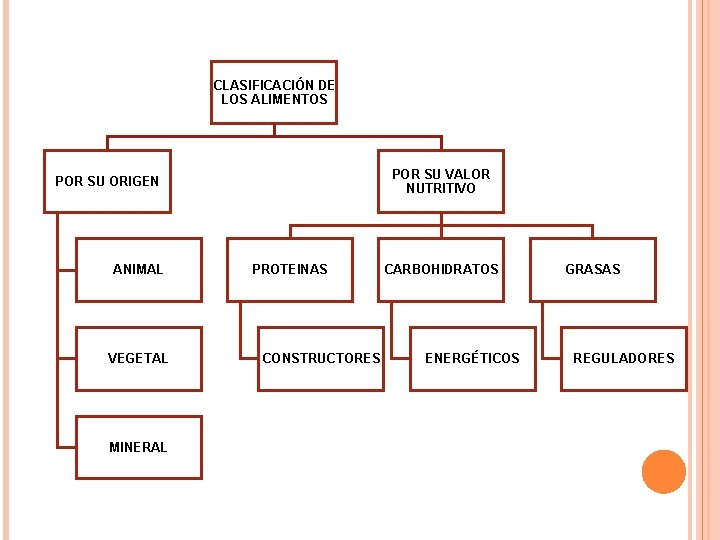 CLASIFICACIÓN DE LOS ALIMENTOS POR SU VALOR NUTRITIVO POR SU ORIGEN ANIMAL VEGETAL MINERAL