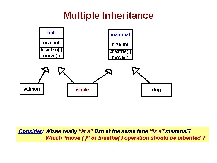 Multiple Inheritance salmon fish mammal size: int breathe( ) move( ) whale dog Consider: