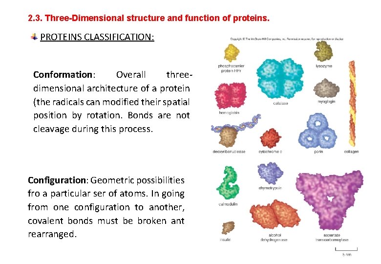 UNIT 2 Structure and function of proteins OUTLINE