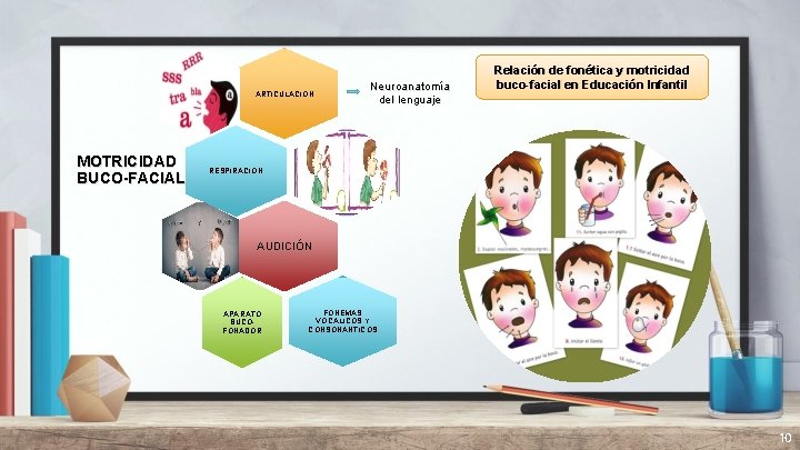 ARTICULACIÓN MOTRICIDAD BUCO-FACIAL Neuroanatomía del lenguaje Relación de fonética y motricidad buco-facial en Educación